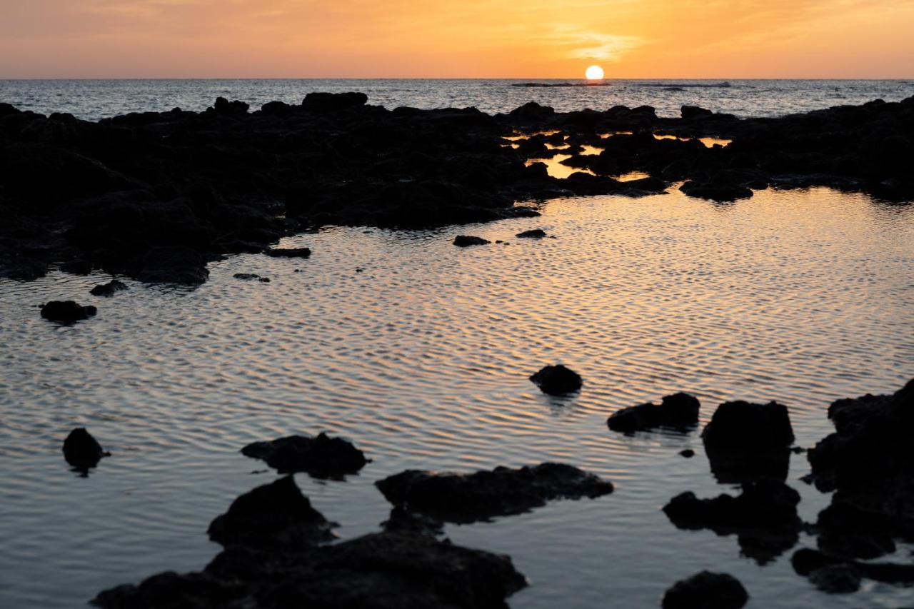 Home2Book Ocean Surf House Fuerteventura لا أوليفا المظهر الخارجي الصورة
